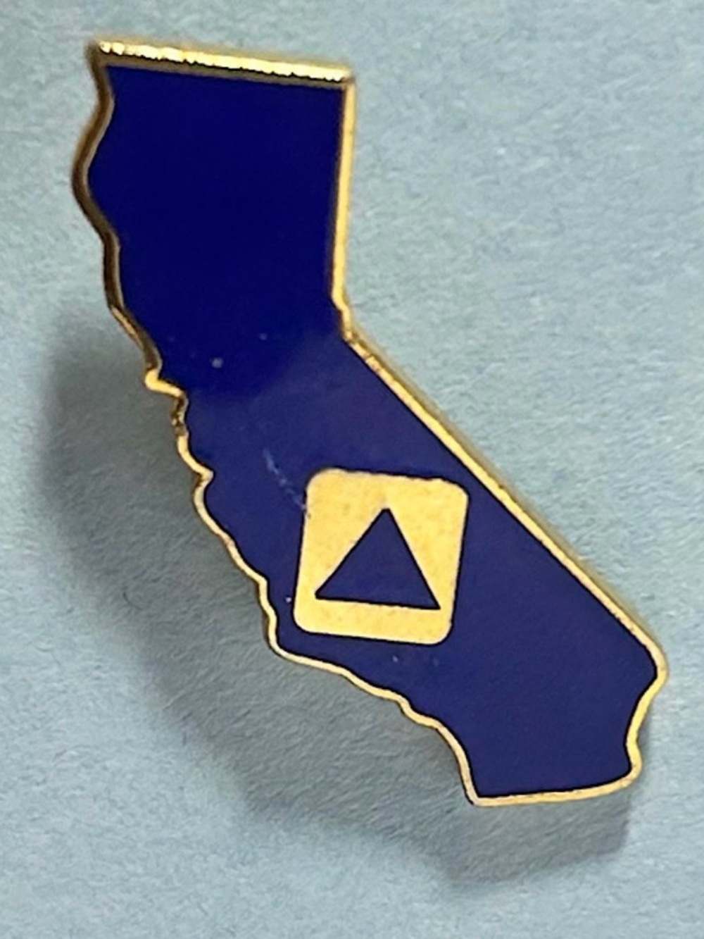 Vintage California State Parent Teacher Association (PTA) lapel pin